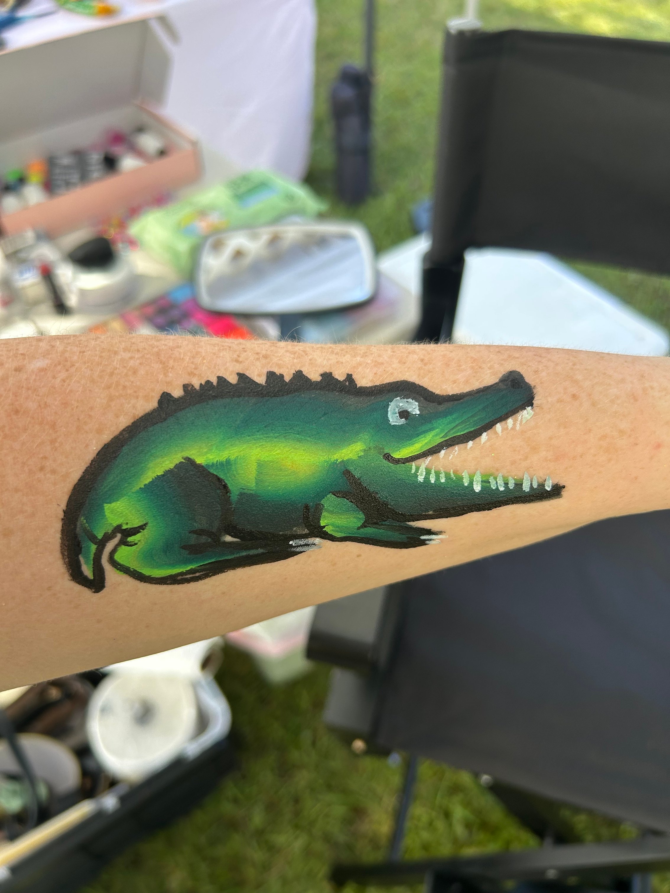 Alligator 
